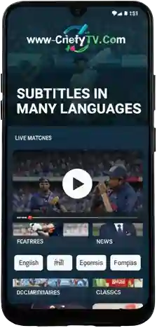Subtitles in Many Languages